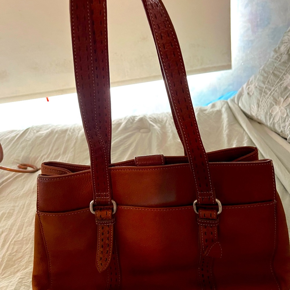 Fossil, A Beautiful Chestnut Color, Several Compa… - image 4